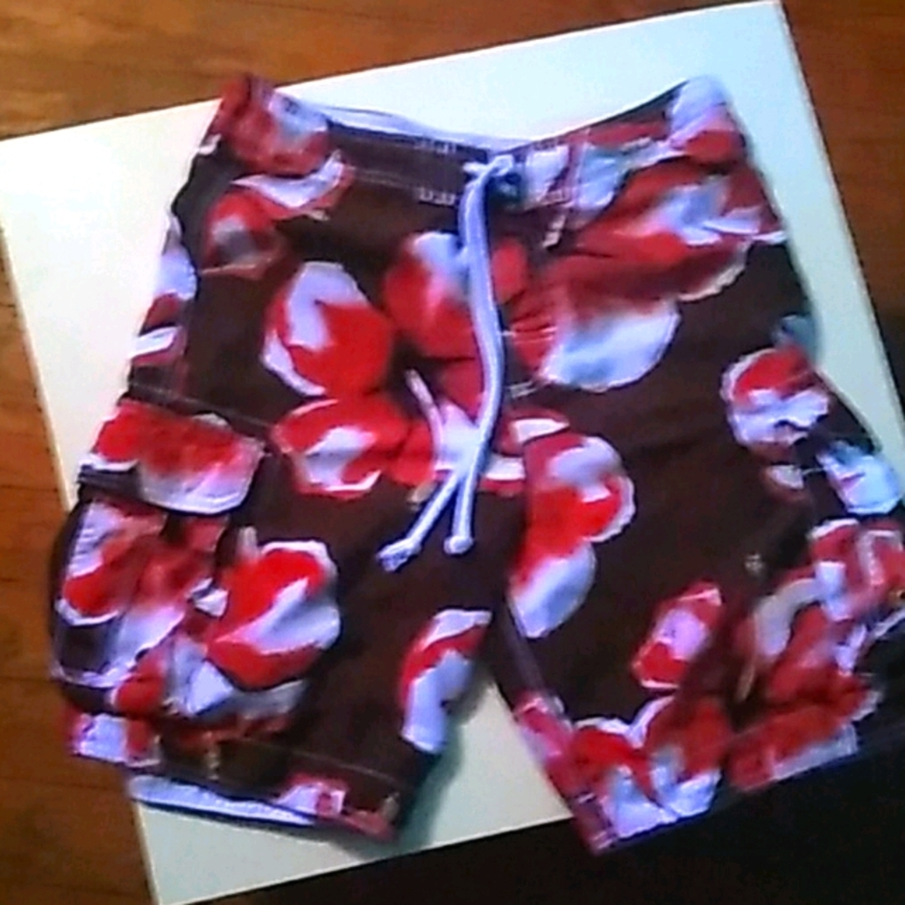 Hollister swim trunks